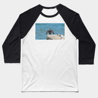 Double-Crested Cormorant With Its Wings Spread Baseball T-Shirt